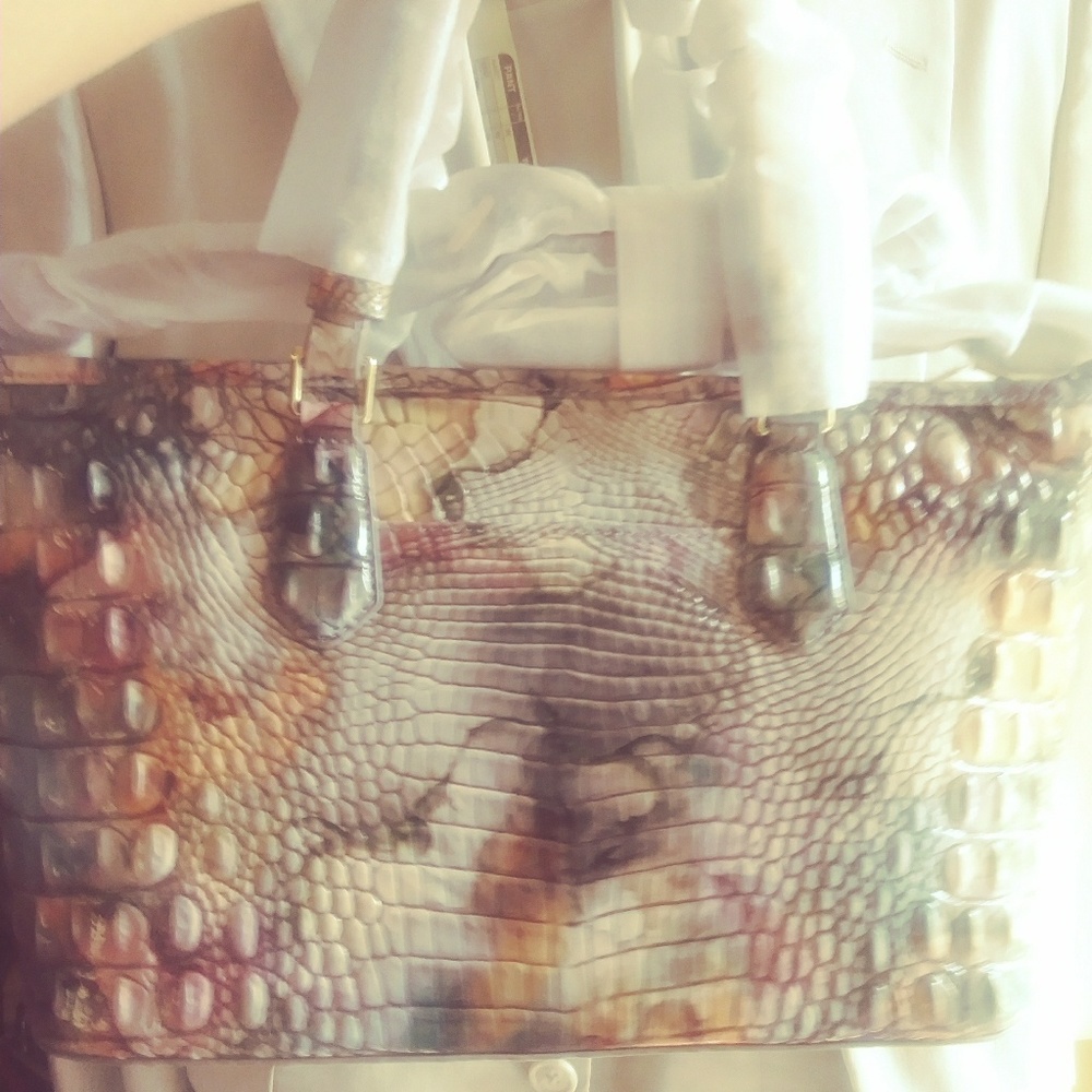 Brahmin purse